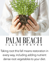 PALM BEACH ILLUSTRATED